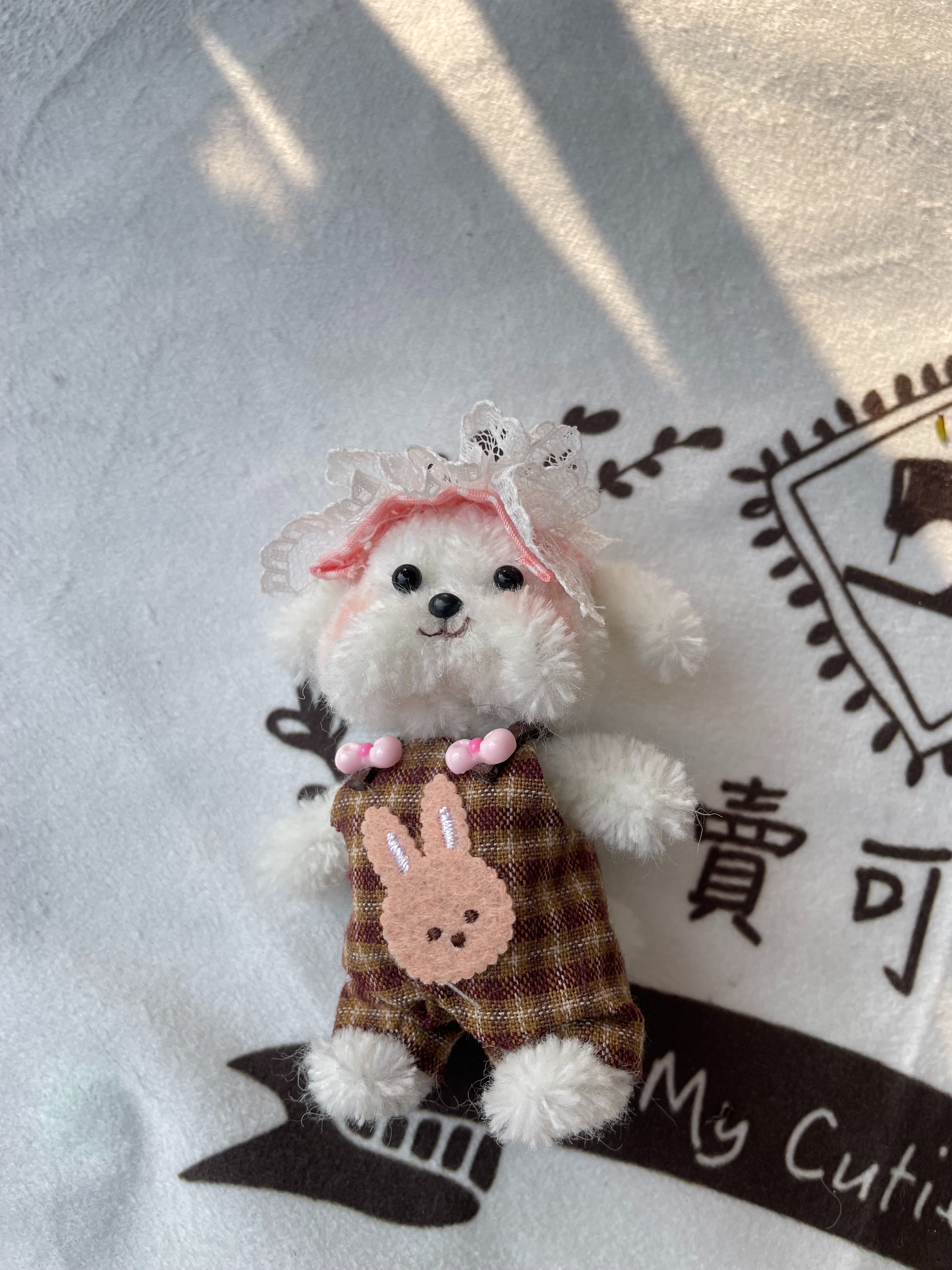 喜愛兔子的小狗
