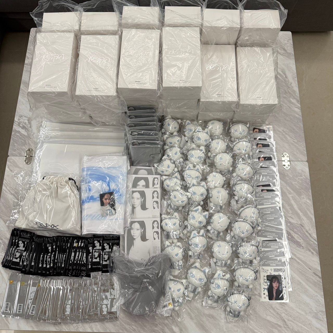 aespa_2025 aespa LIVE TOUR - SYNK : aeXIS LINE官方周邊（線下團）