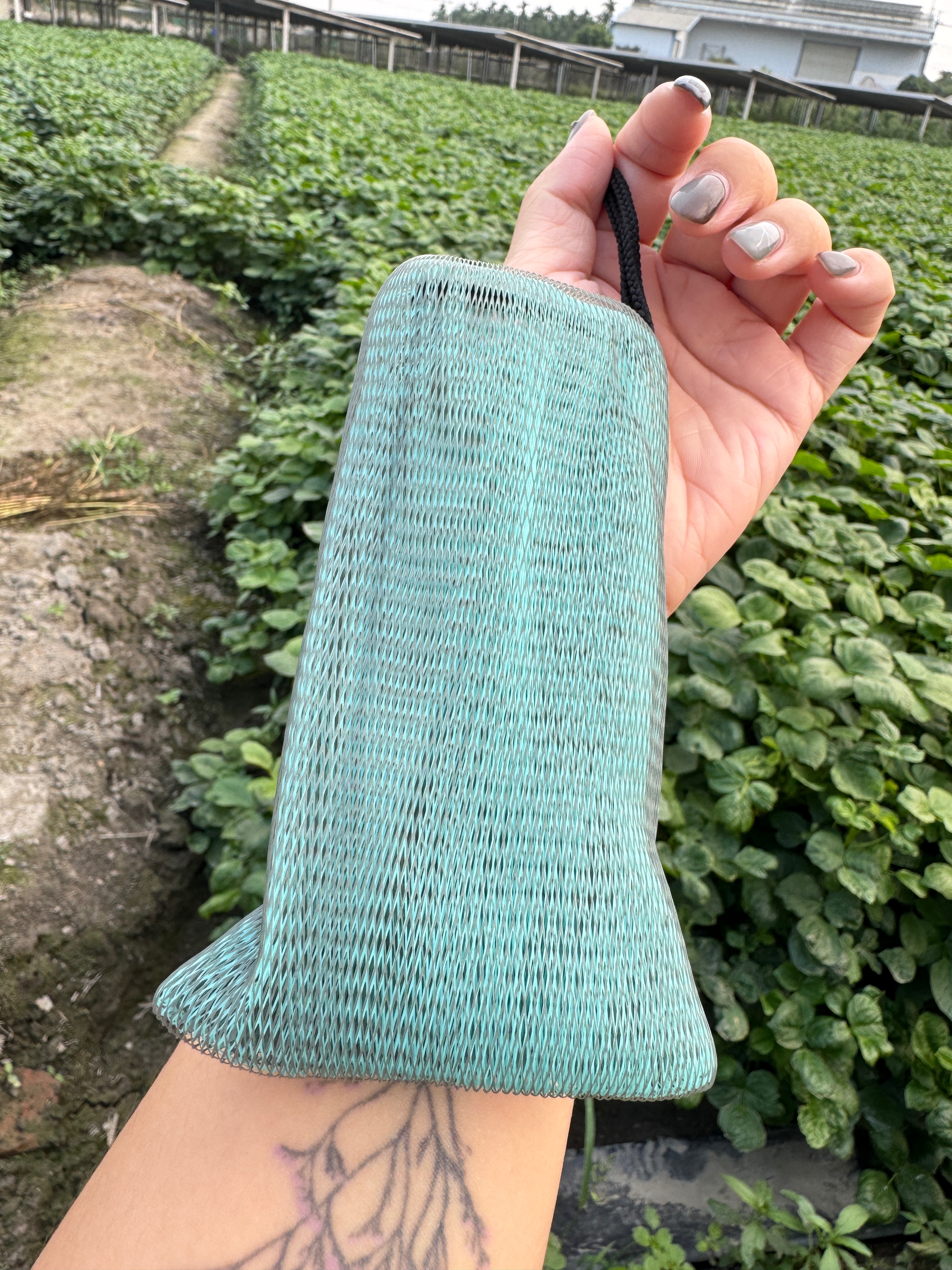 MIT好好洗起泡網（顏色隨機）