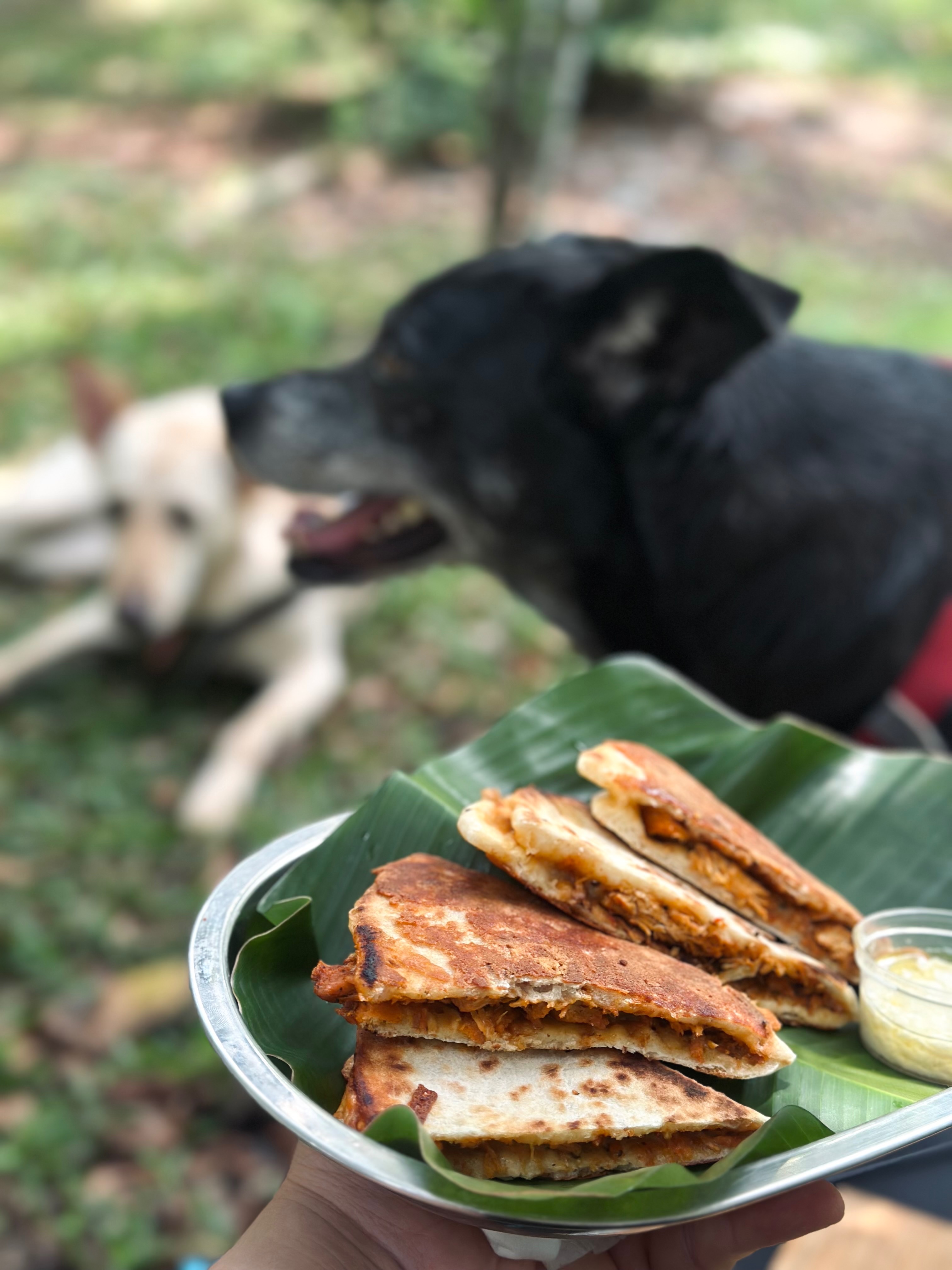起司煎餅Quesadilla
