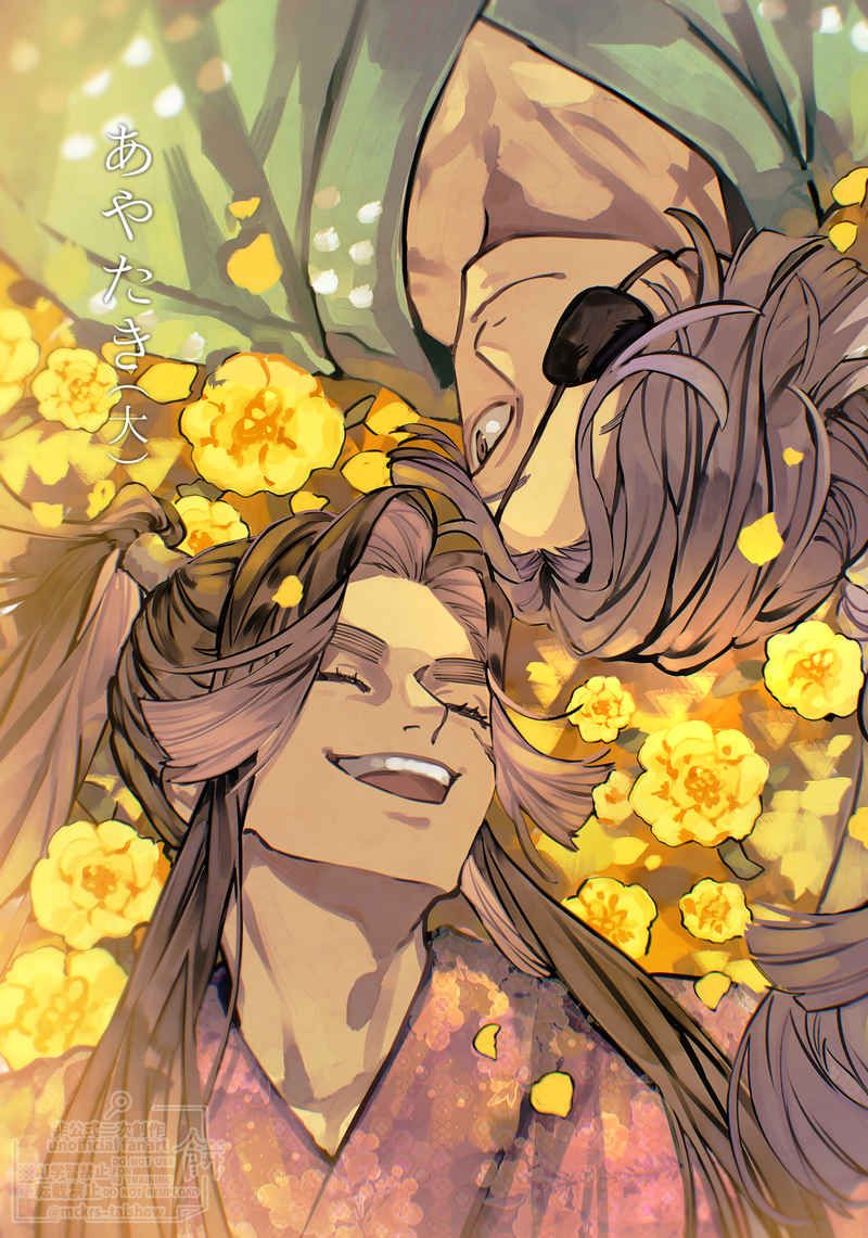 【綾瀧】あやたき（大）