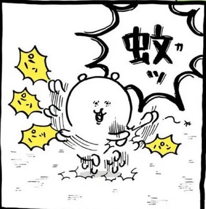白熊區