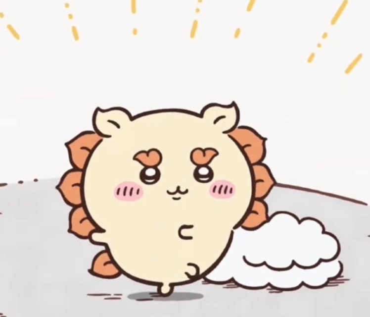 獅薩區