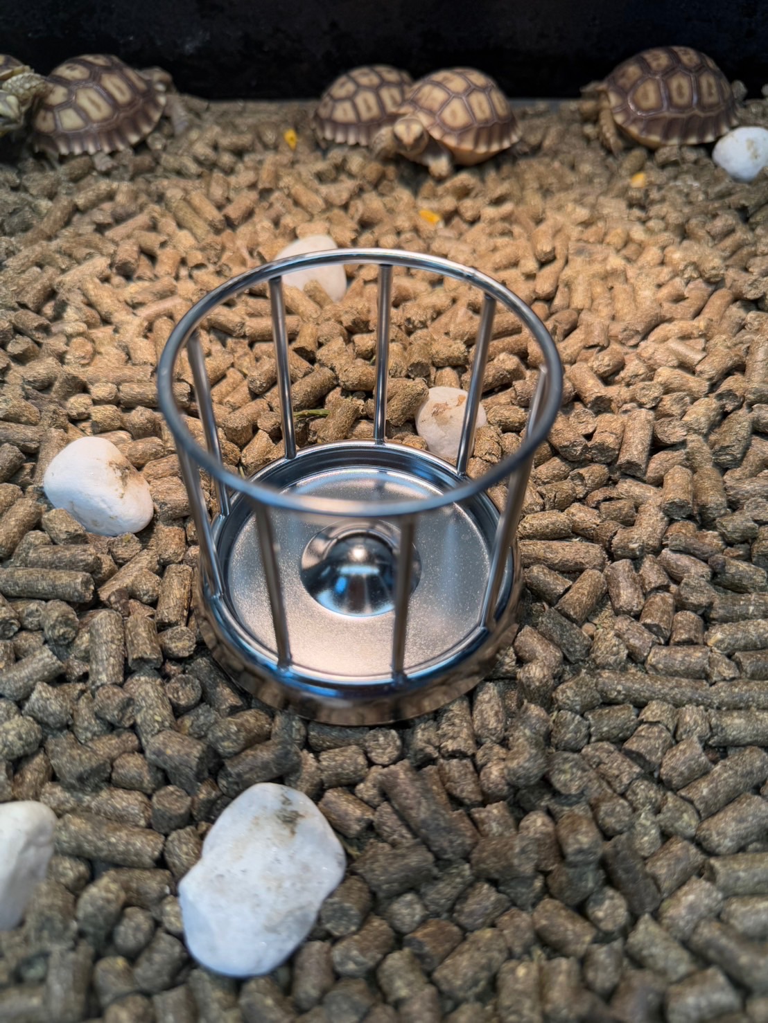 圓形食盆