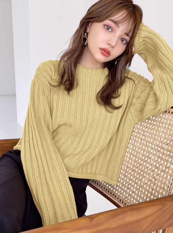 2894 捲邊短版羅紋針織上衣