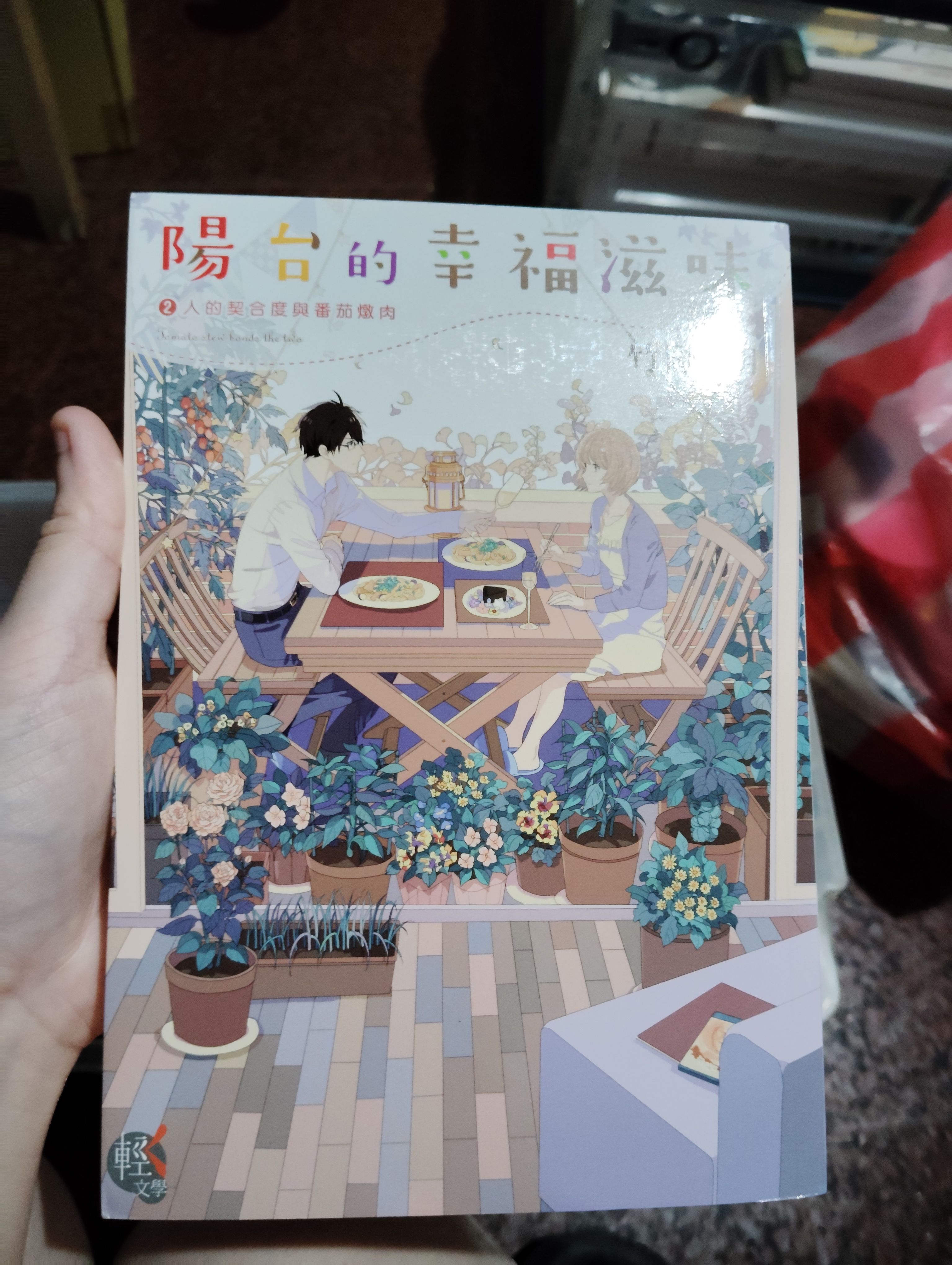 陽台的幸福滋味1~4集
