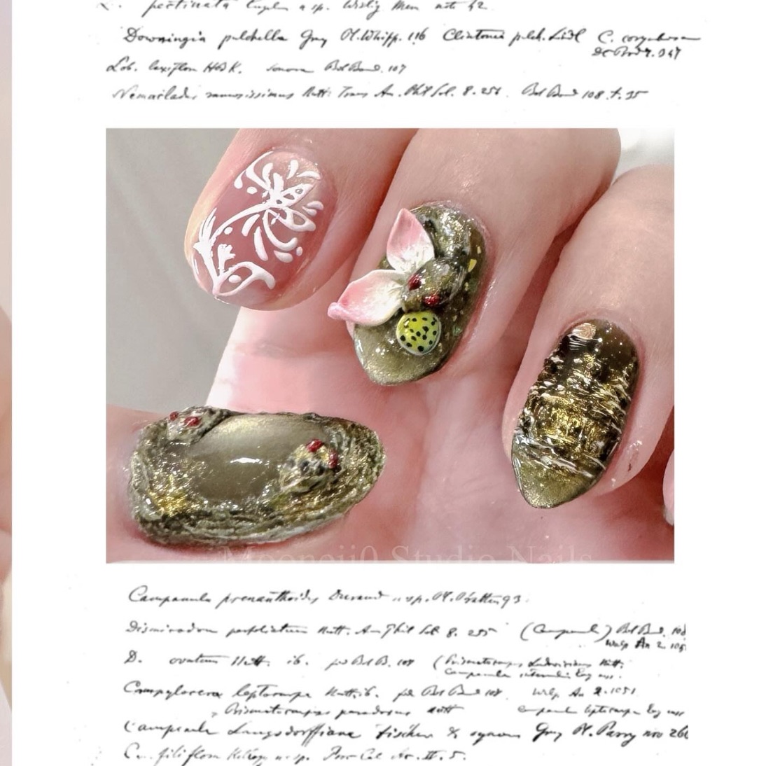 Cambodia吳哥窟五🈯️設計