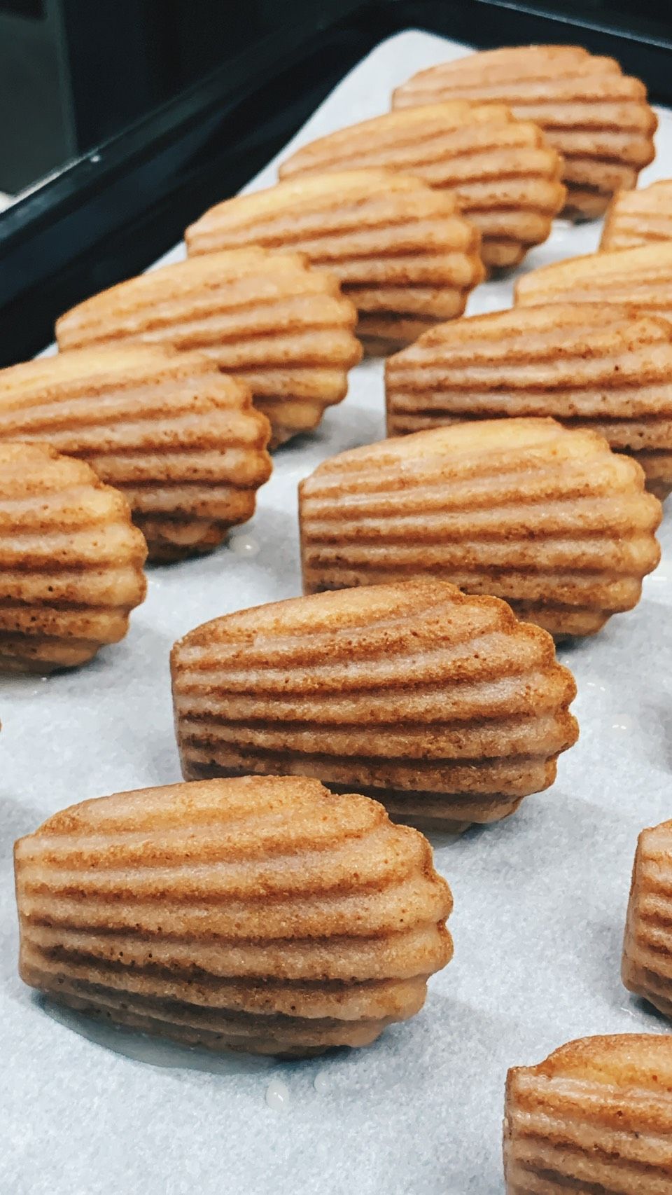 BLACK LULU-瑪德蓮