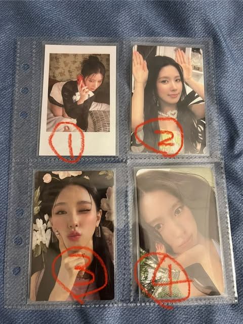 面姐小卡