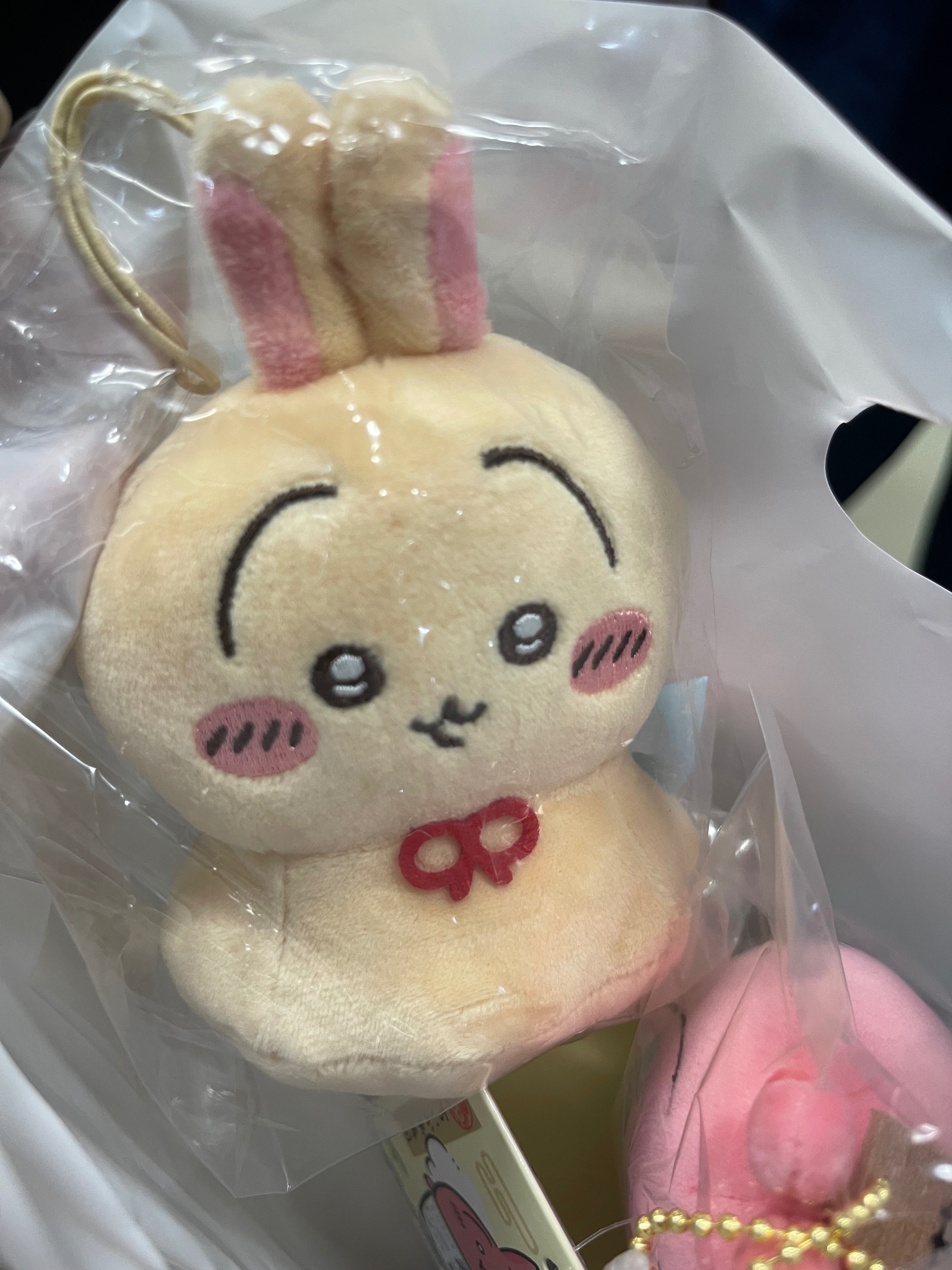 新品吊飾娃（單售，不可當綁物）