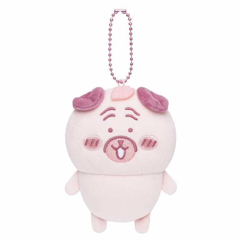 2/13白熊新品＆常態商品