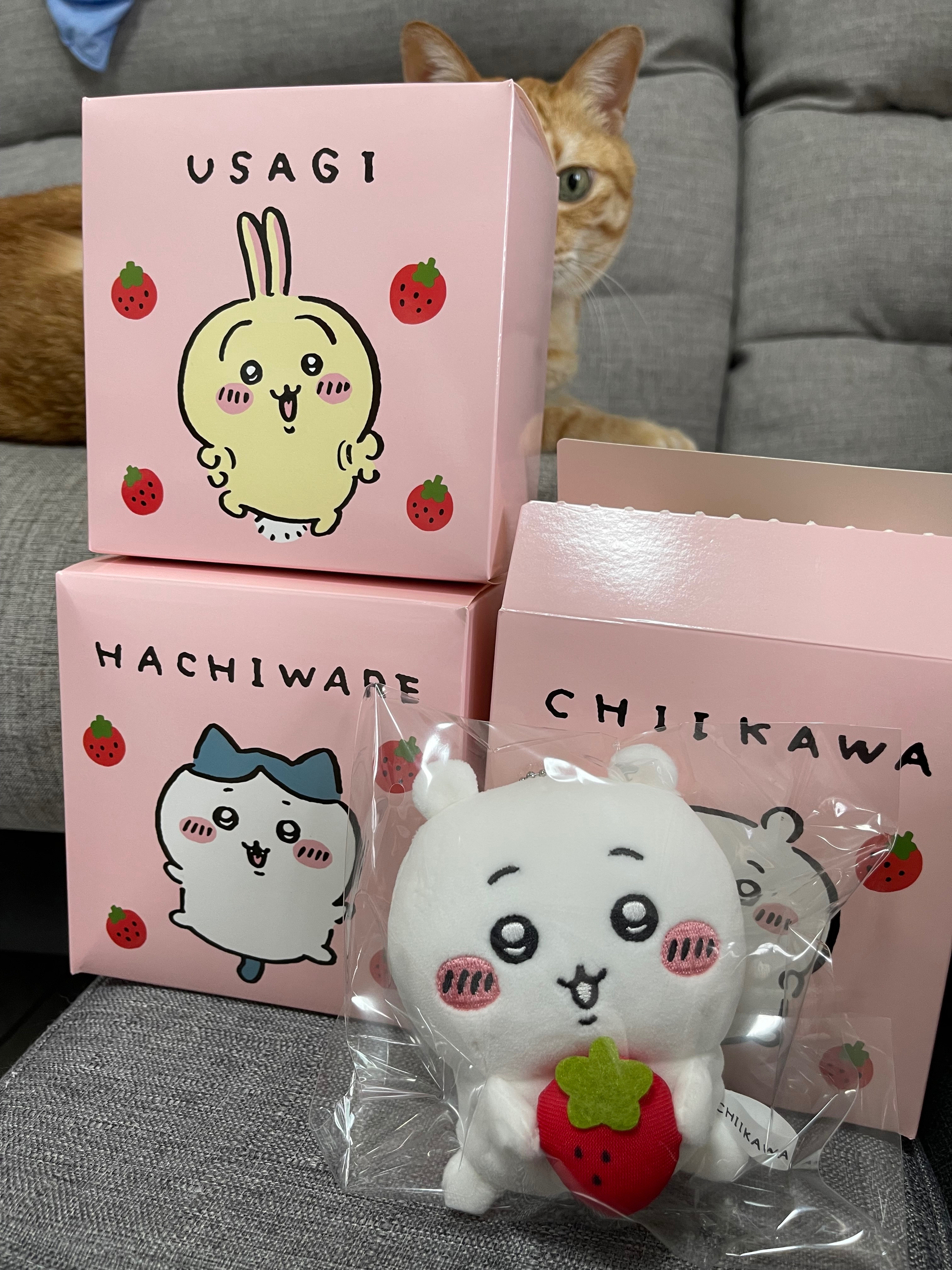 草莓三小隻