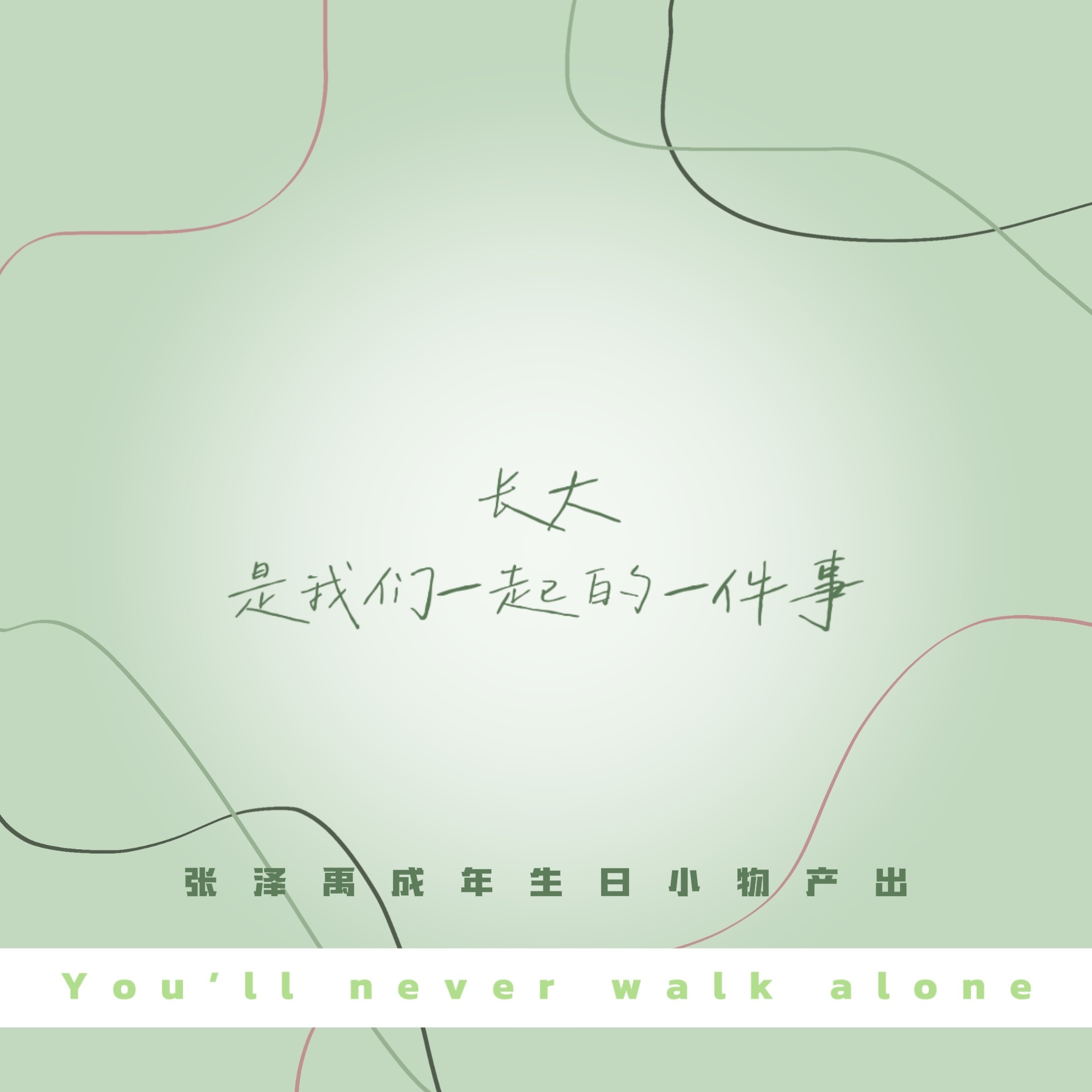 张泽禹生日产出小物