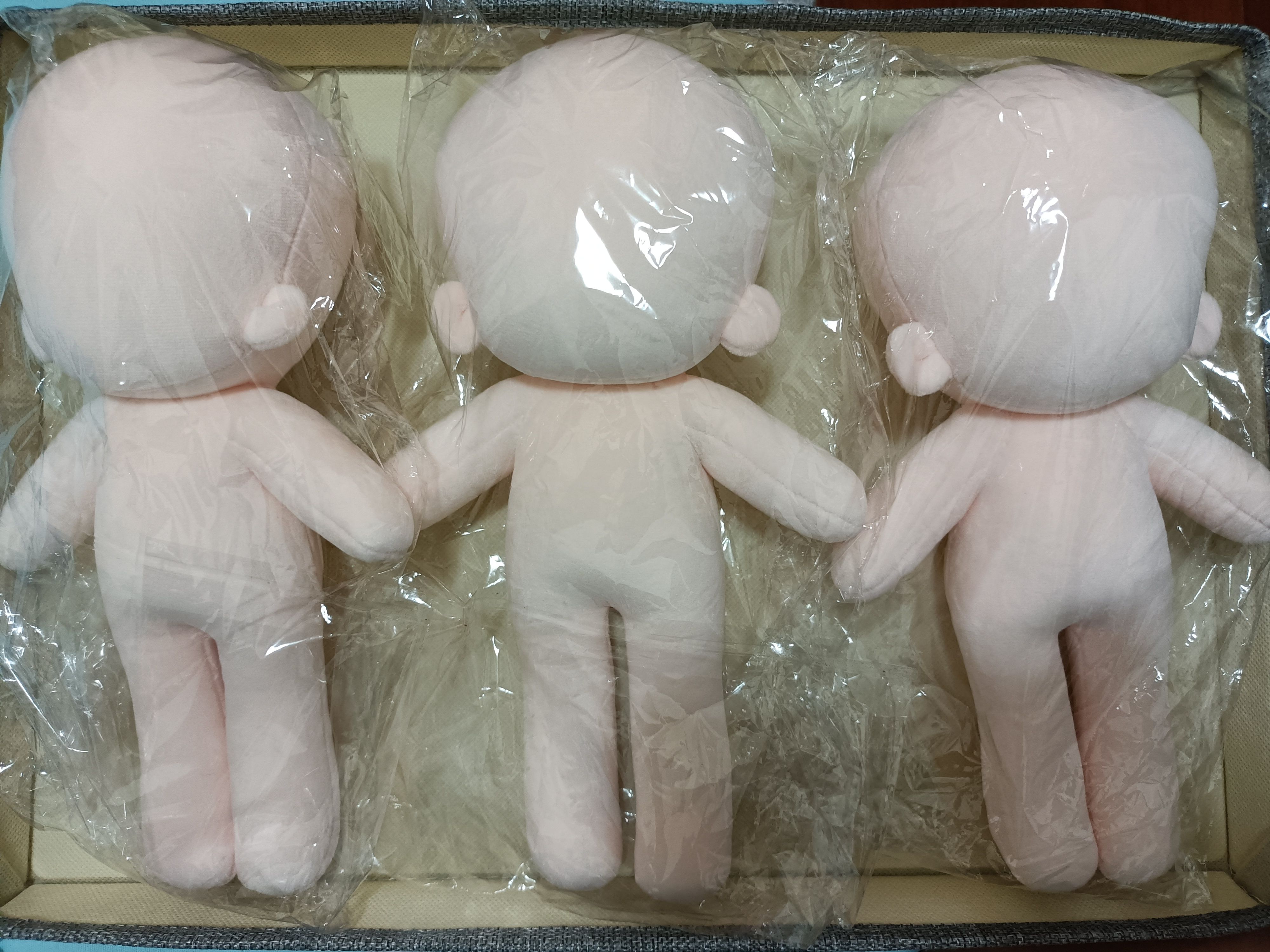 25素體/骨架