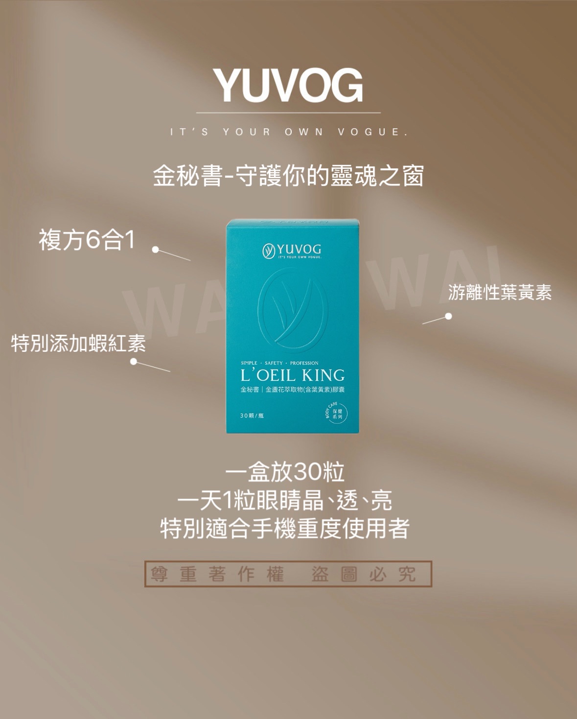金秘書-複方葉黃素