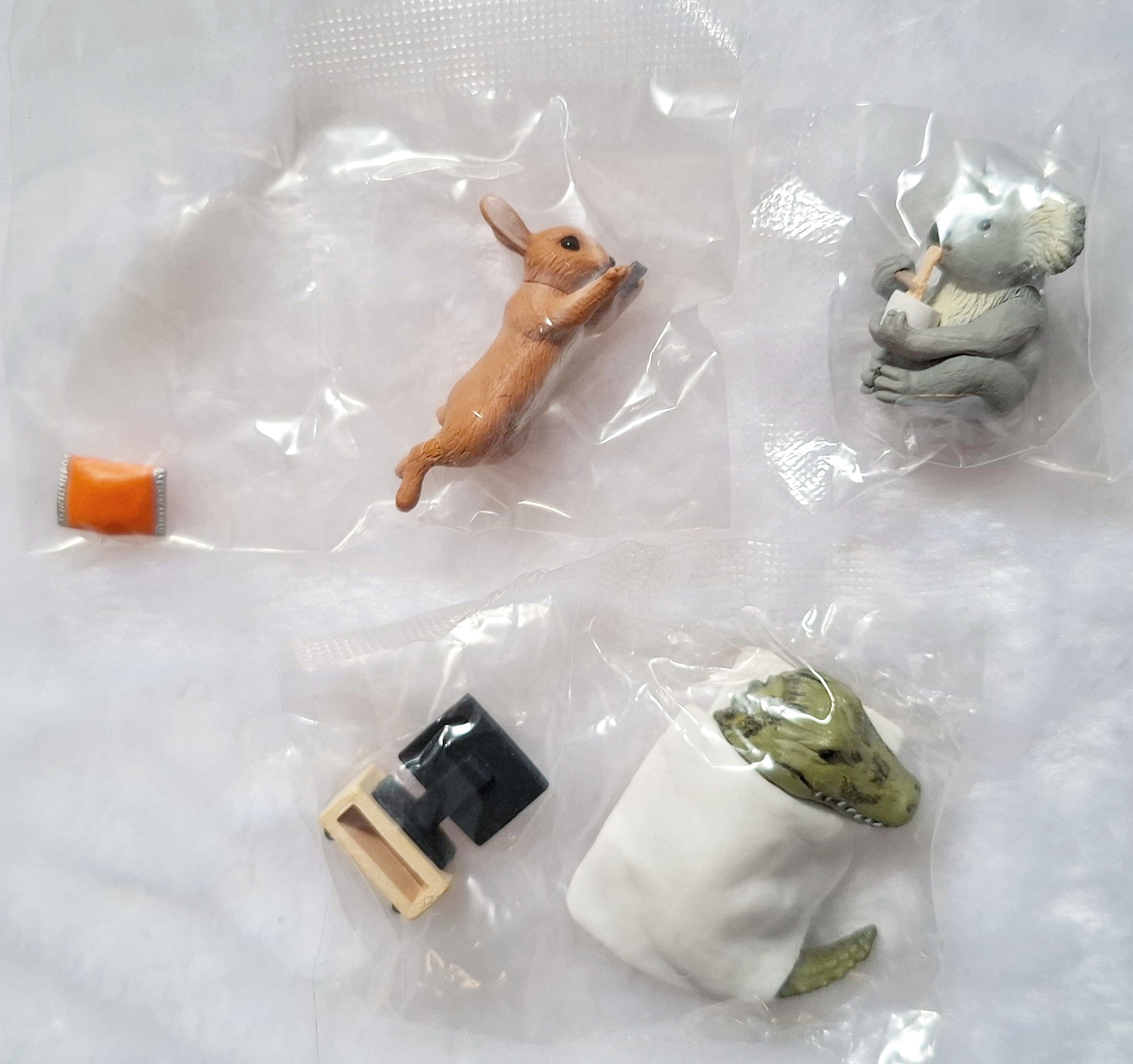 🐇🐨🐊動物扭蛋