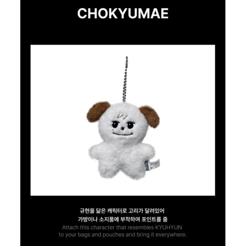 圭賢+綁物（全新未拆）