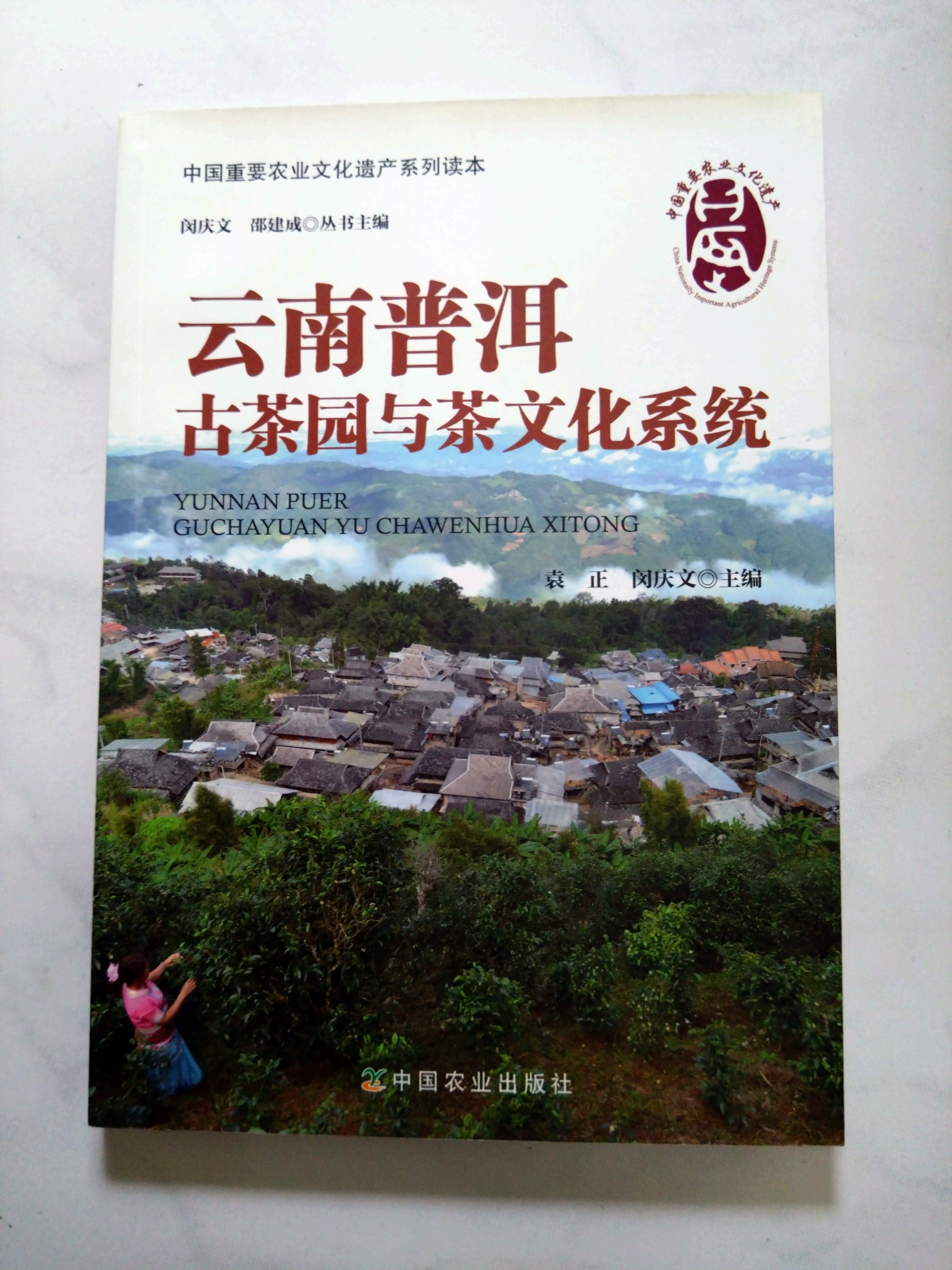 雲南普洱古茶園與茶文化系統（簡體書）9787109195745 中國農業出版 有點黃斑 無畫線註記