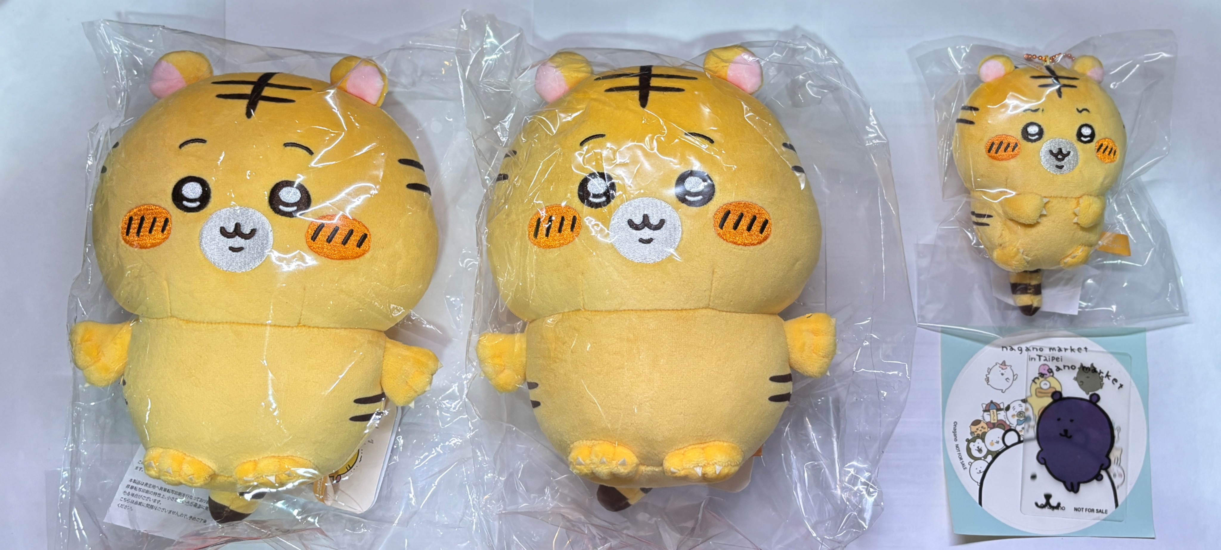 🐯🐻