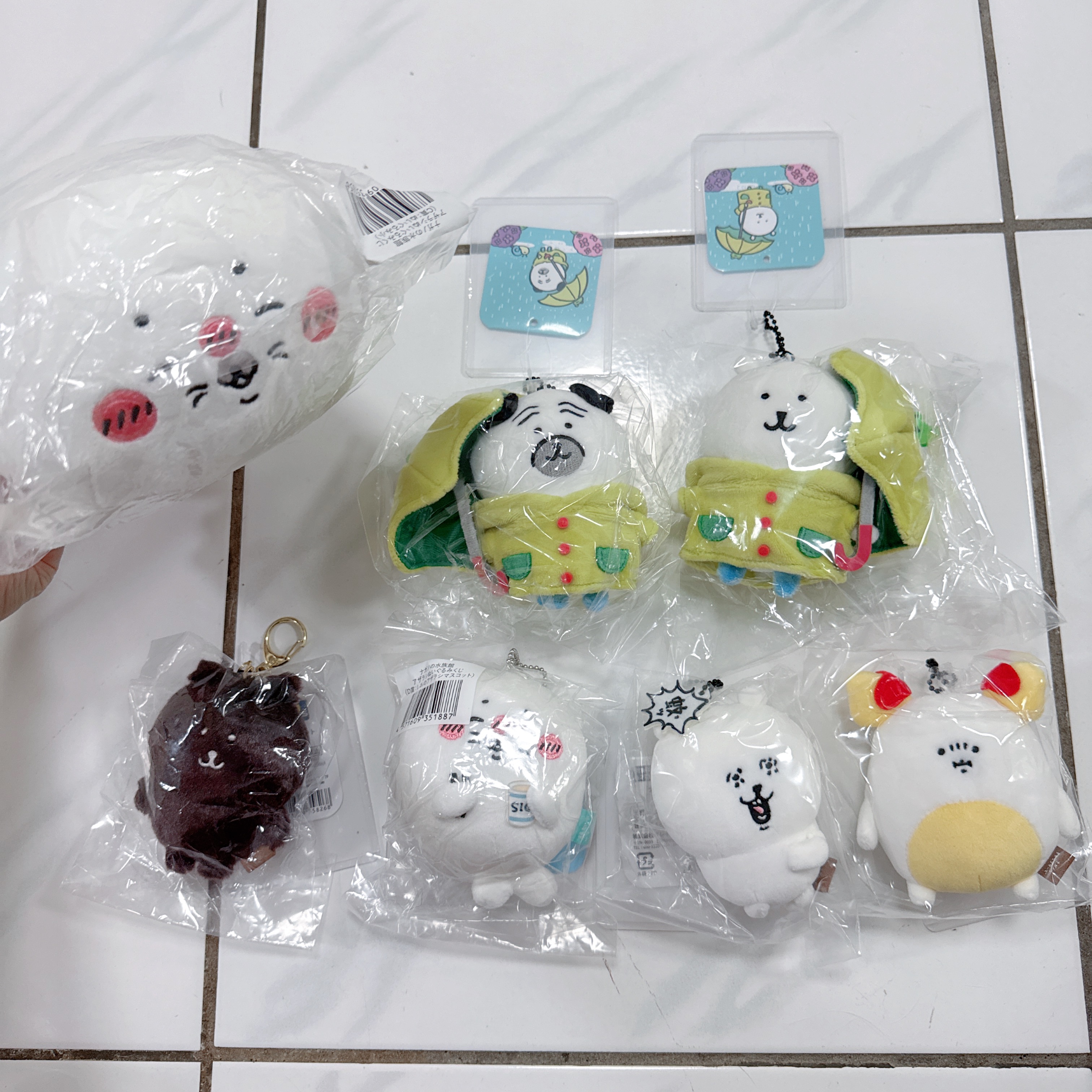 日版現貨 自嘲熊