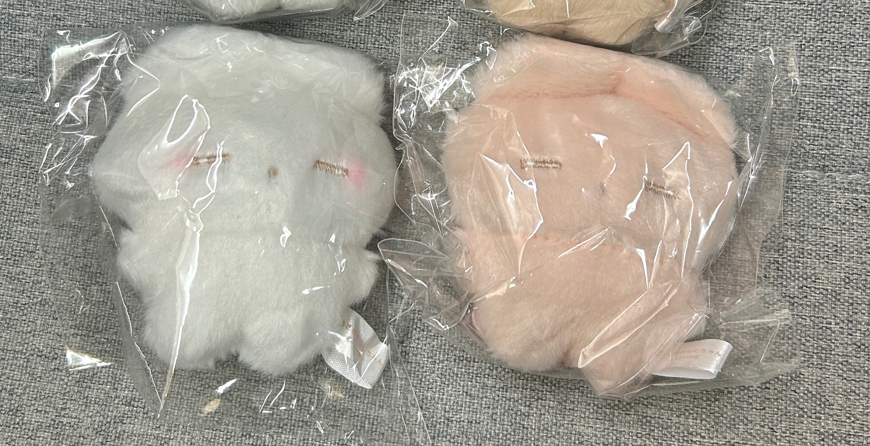 兔兔
