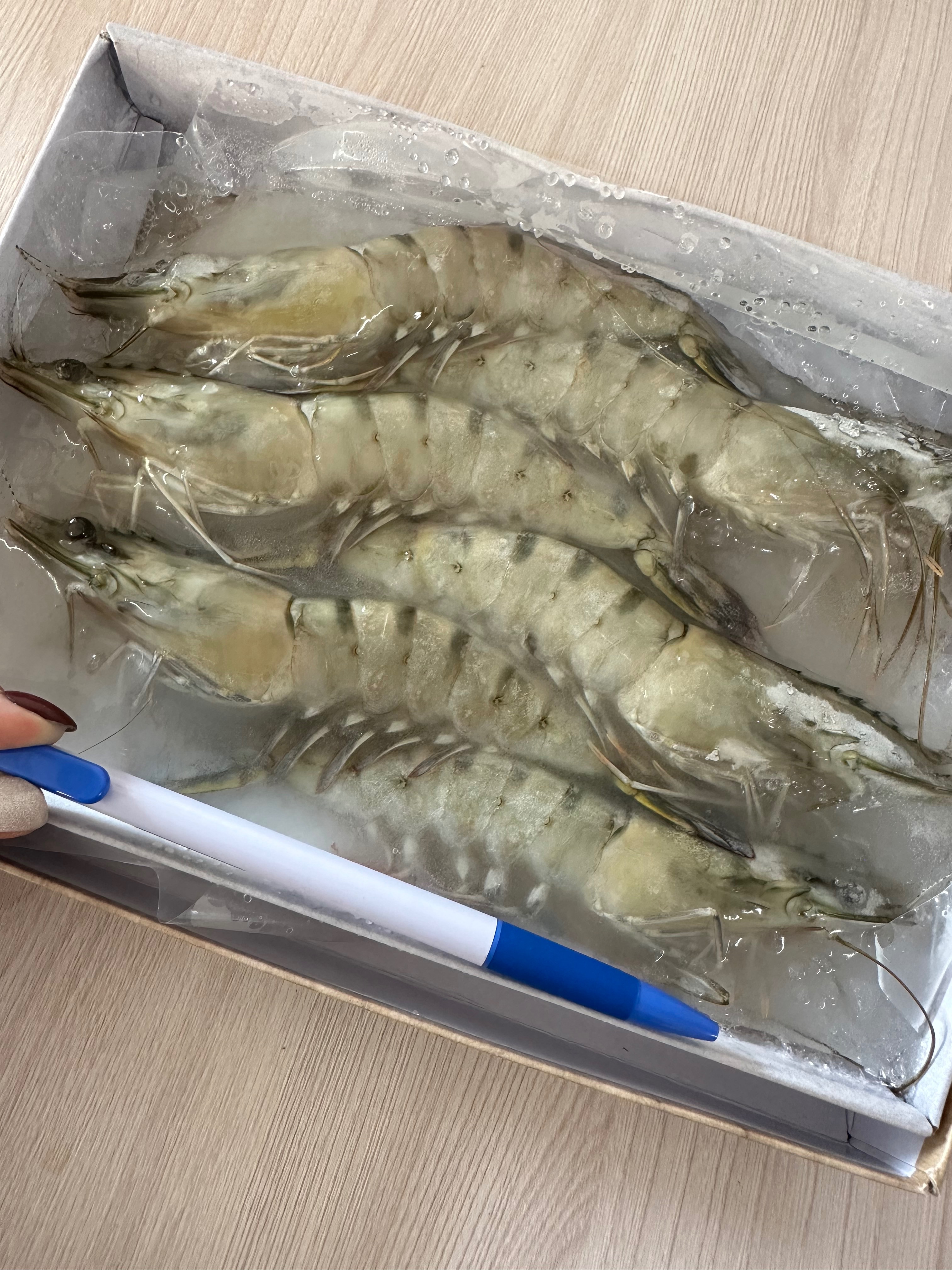 草蝦6尾