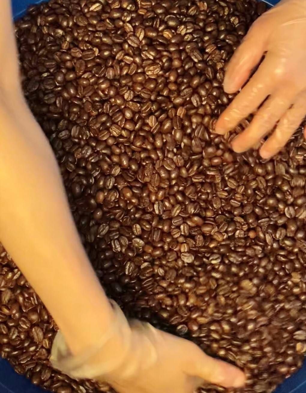 瓜地馬拉 咖啡豆