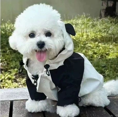 「熊萌衝衝衝！」防風防潑水熊貓衝鋒衣 🐾🐼✨