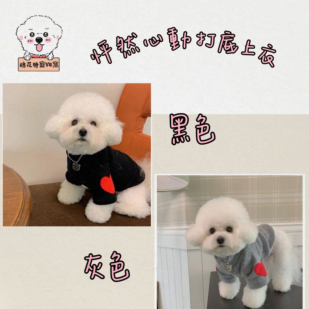 🌟【毛孩潮流穿搭｜兩色愛心暖心T】🌟