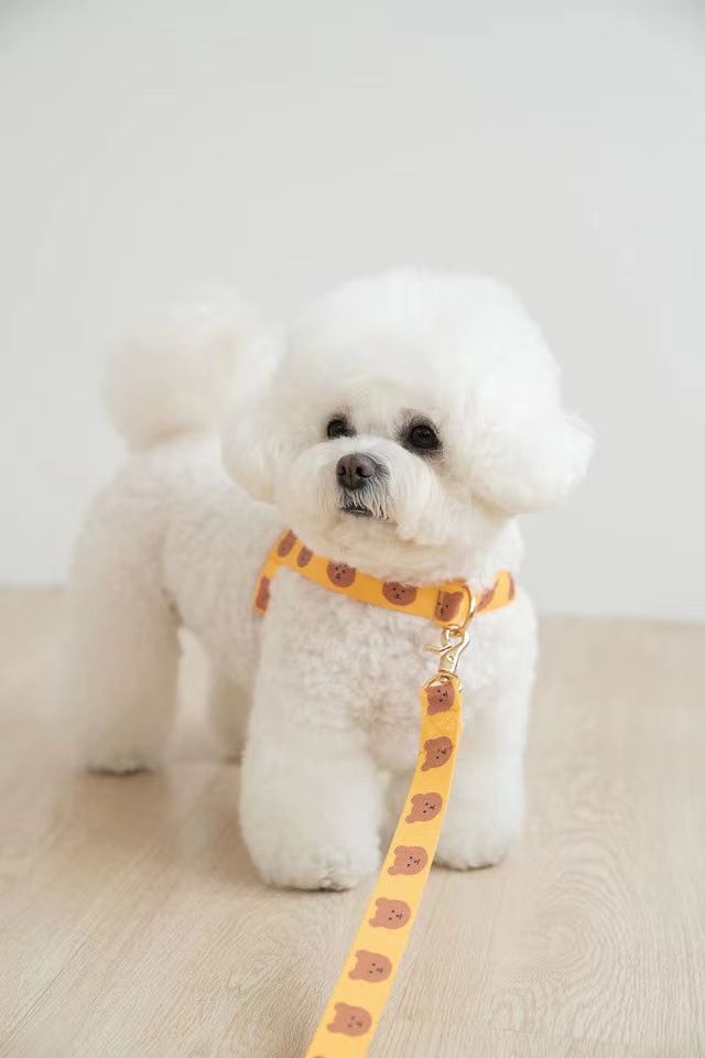 「小熊乖乖走💛人字胸背帶（不含牽繩）」