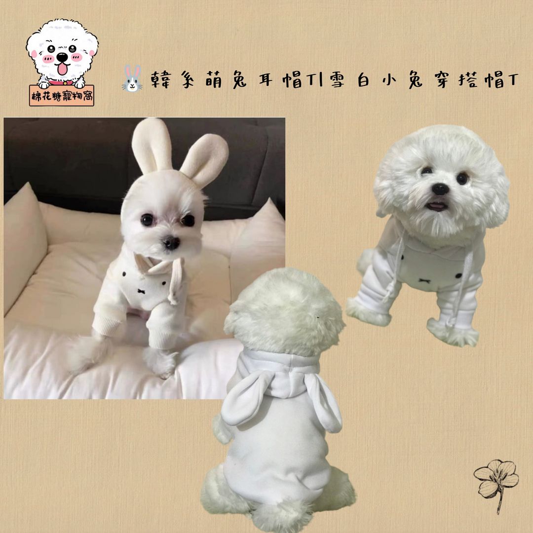 🐰✨萌兔乖寶帽T ✨🐾