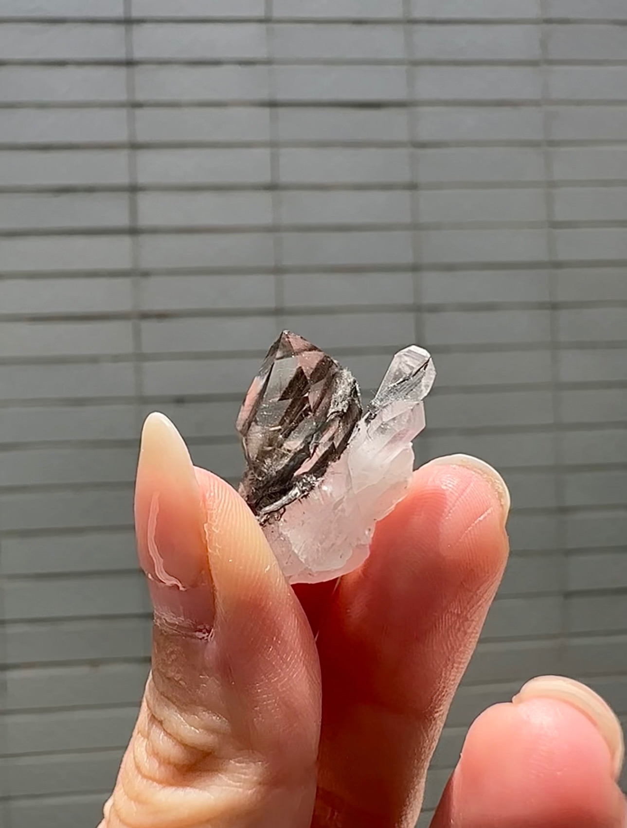 𖠁黑銀鈦簇🖤B款
