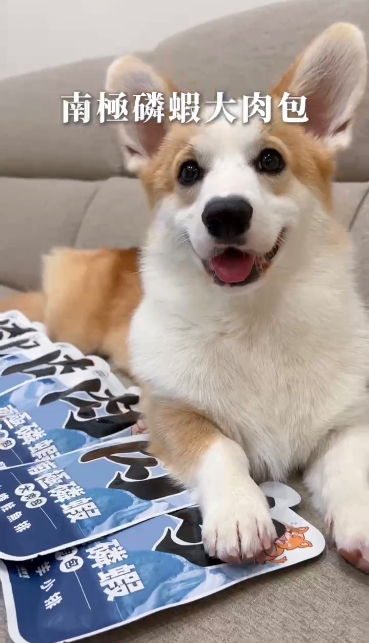 南極磷蝦大肉包（狗犬）