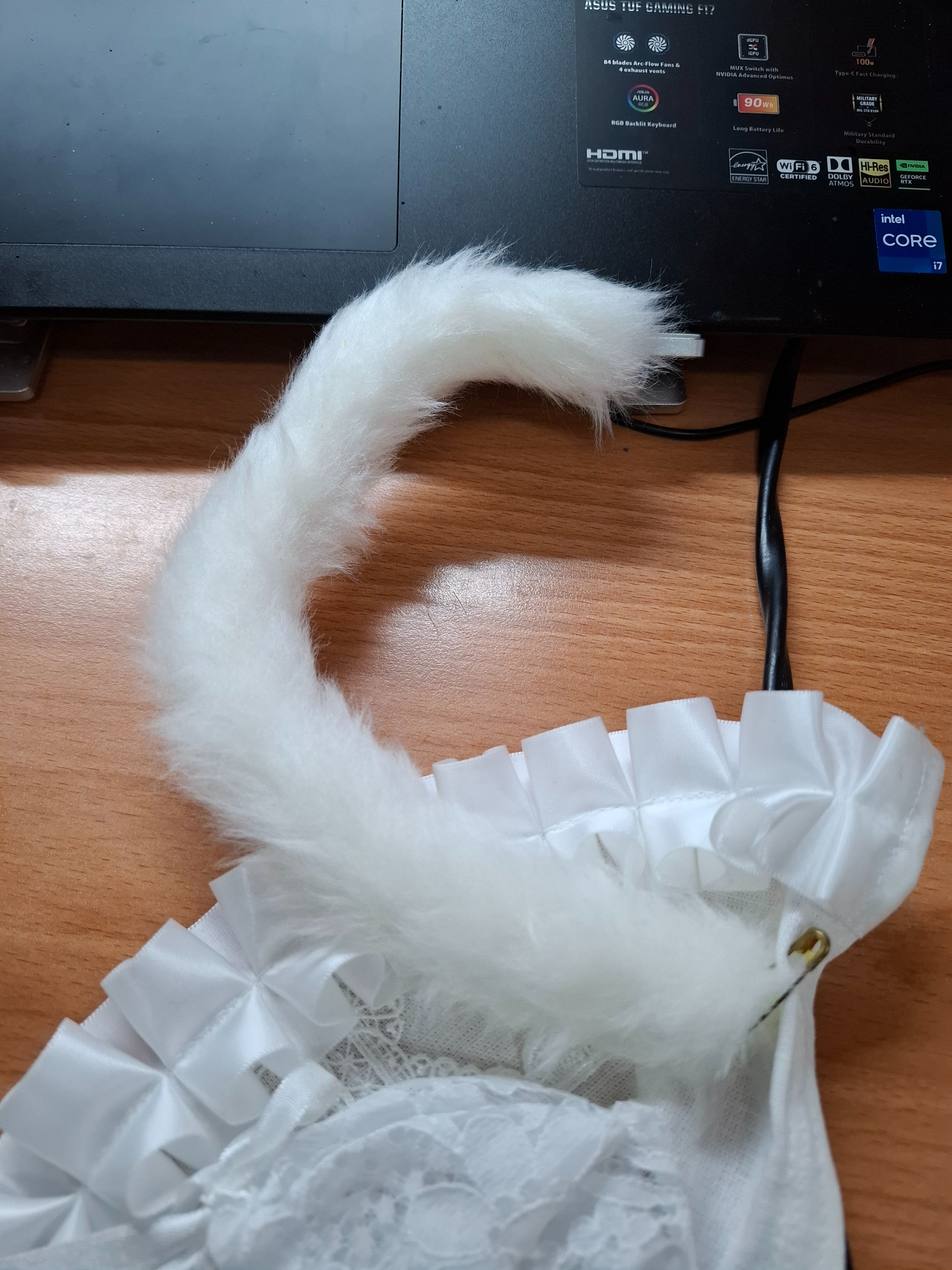 猫尾