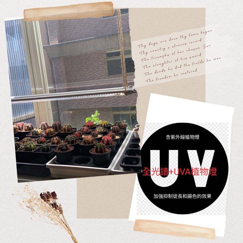 植物燈 仿太陽光 led 全光譜 自然光 ＋ 紫外線 防水 防蟲 防塵 多肉 鹿角蕨 植物燈管 紅狐 觀葉 龍舌蘭 開花