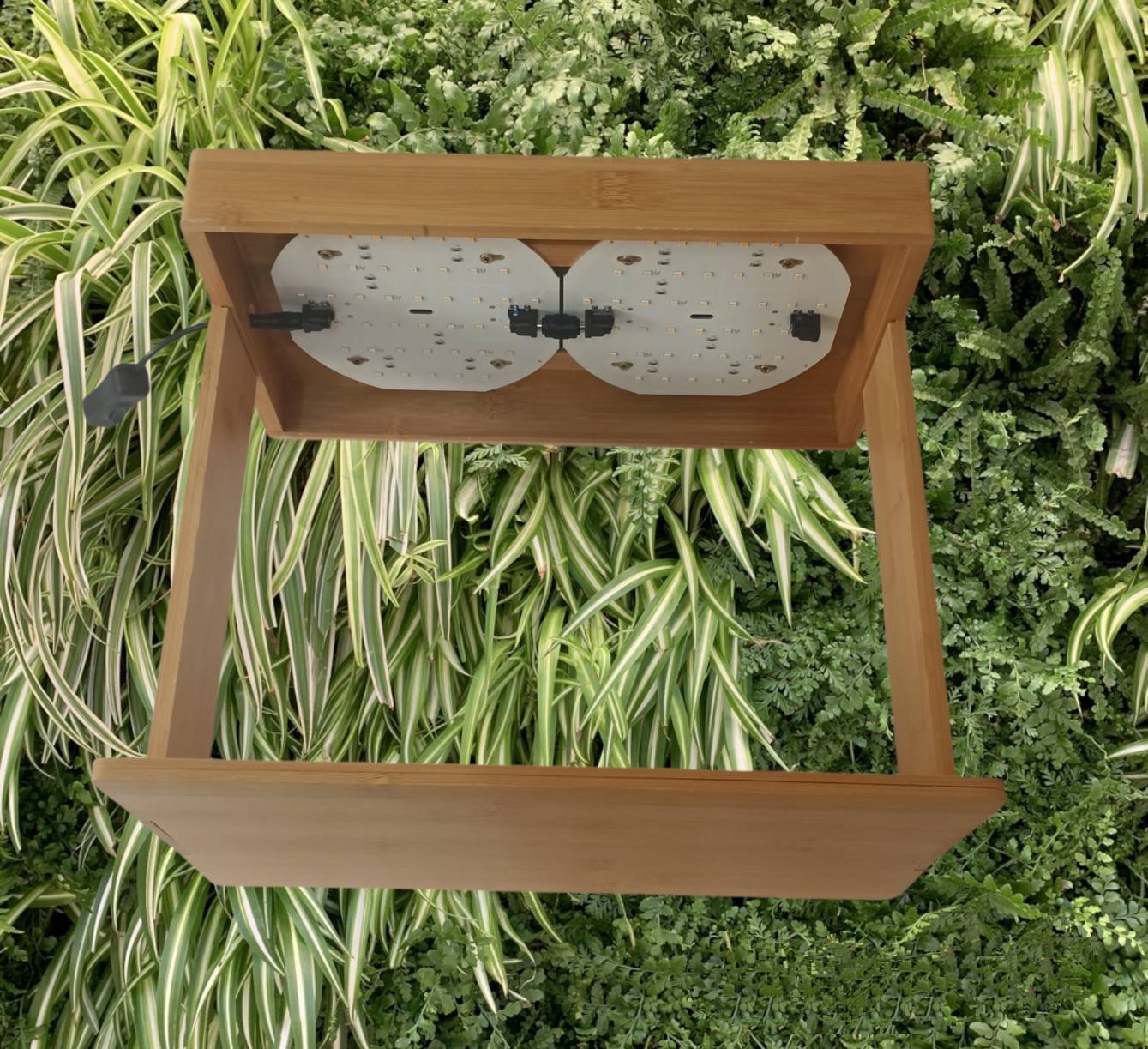 植物生長箱 led 仿太陽光 全光譜 自然光 紫外線 UVA 45瓦 多肉 塊根 盆栽 苔蘚 植物燈 紅狐 龍舌蘭