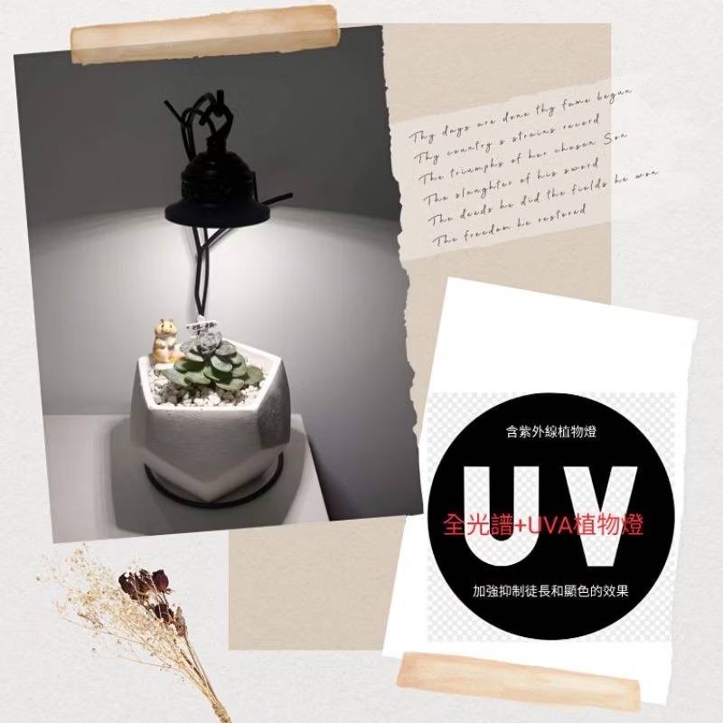 植物專用 7瓦 USB 桌面放置 鈴鐺型 全光譜 自然光 紫外線 led 植物燈 多肉 盆栽 百合科 苔蘚 紅狐 觀葉