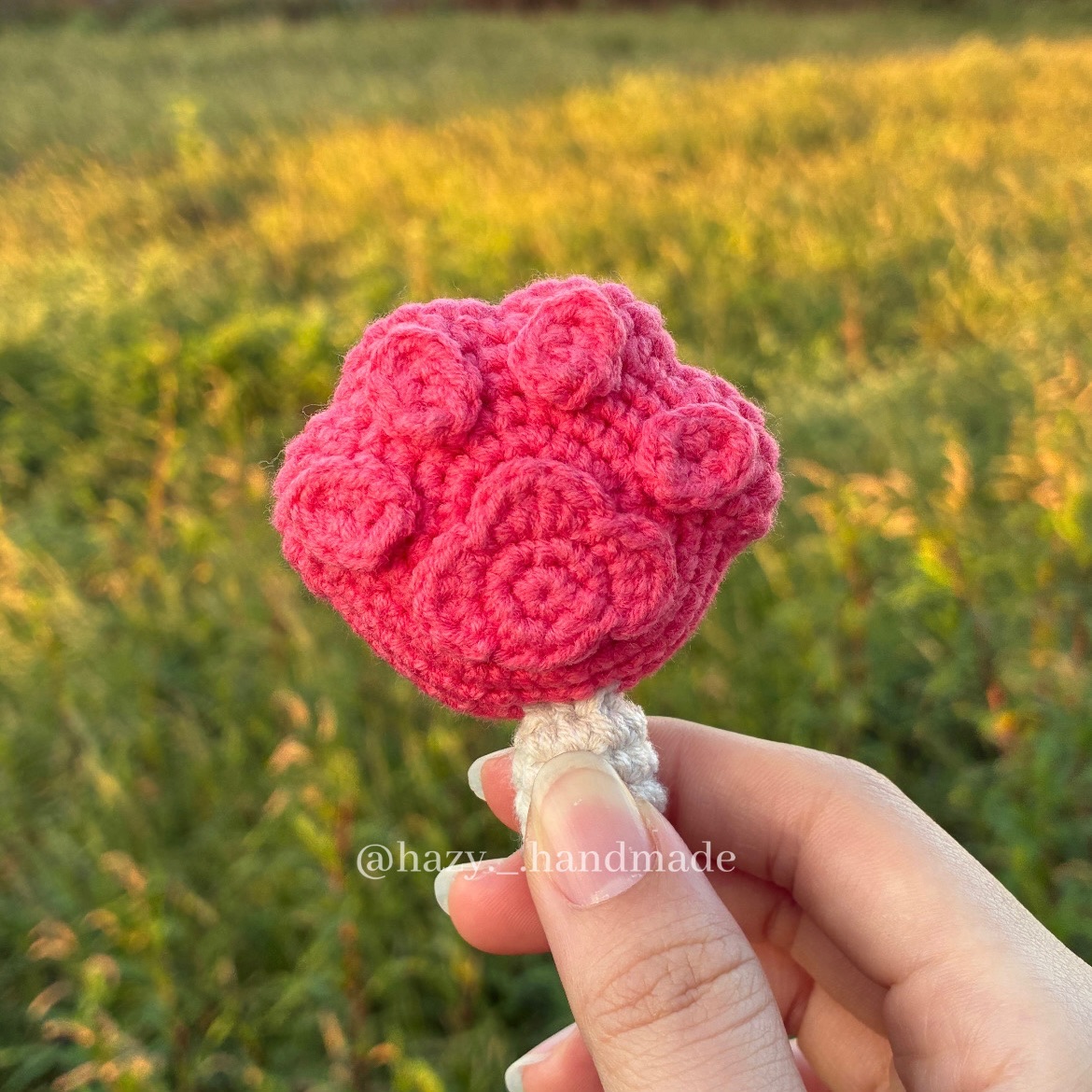 爪爪冰棒！🦊🍧