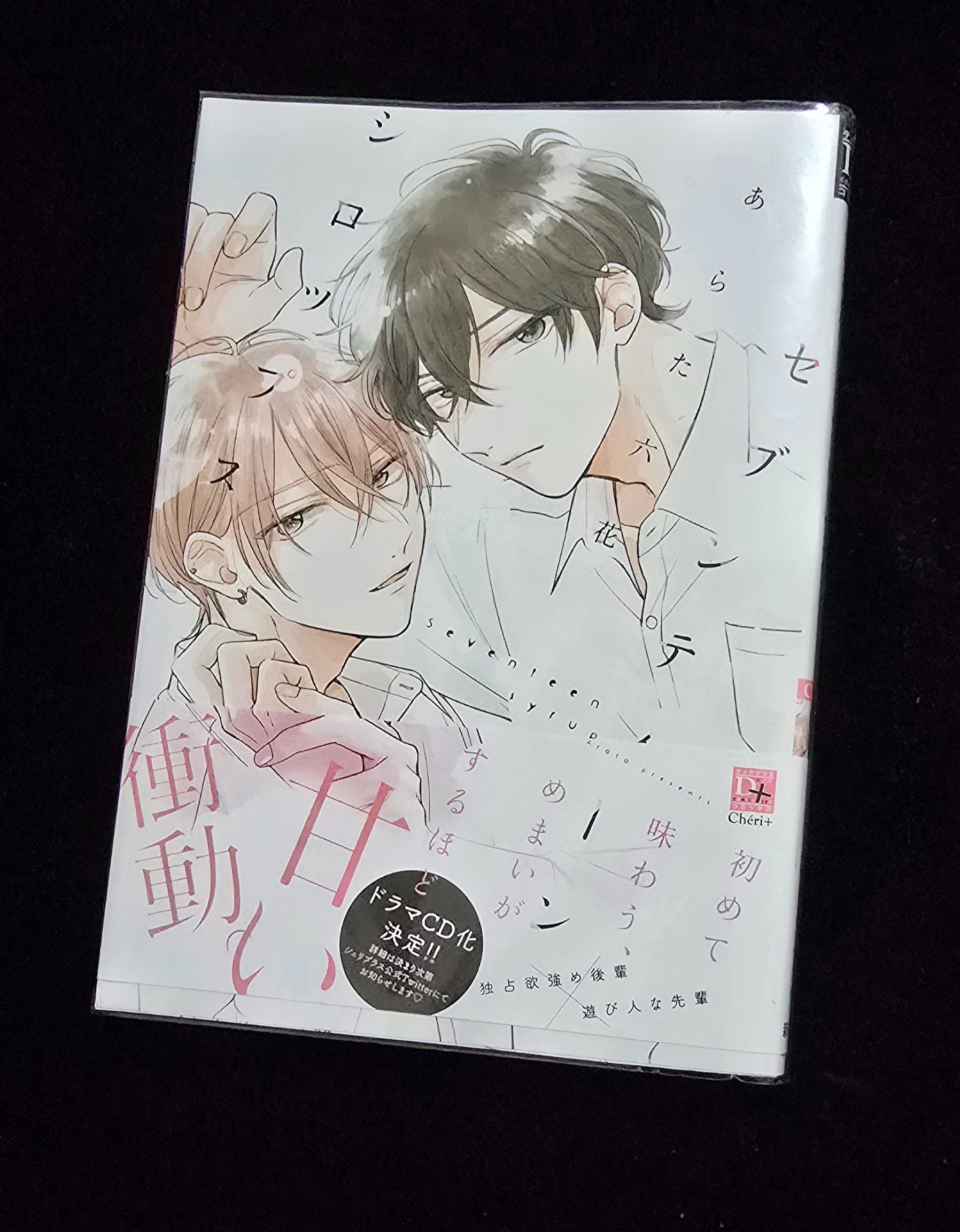 〔日文書〕甜蜜似糖的十七歲