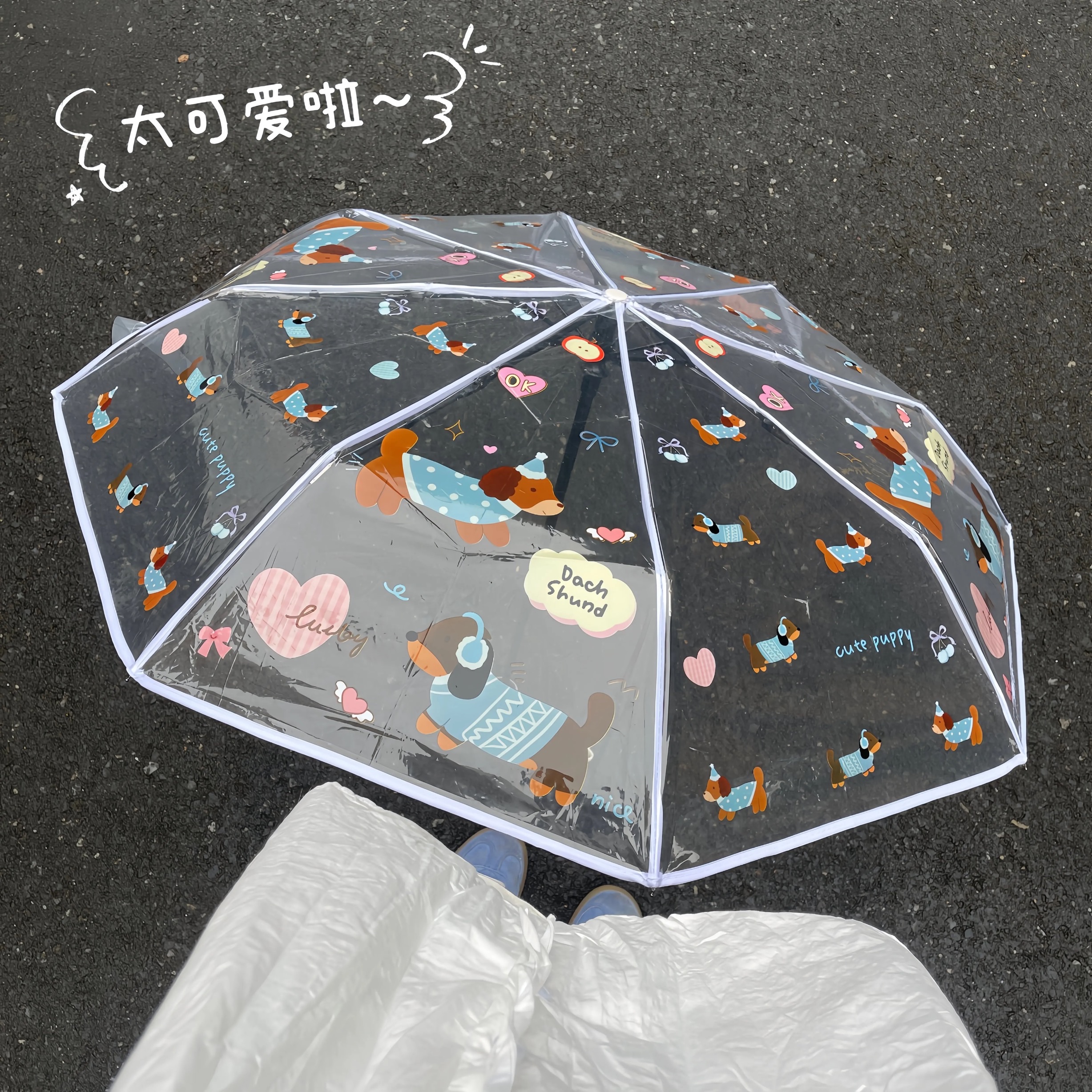 臘腸狗全自動折疊透明傘