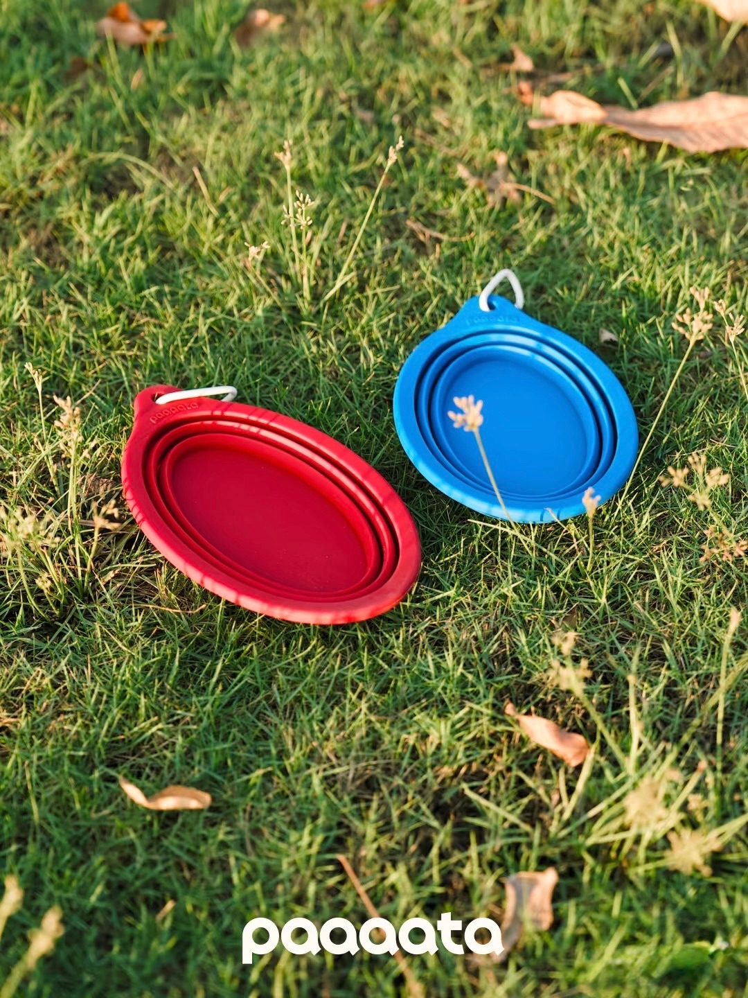 大耳狗外出折疊碗