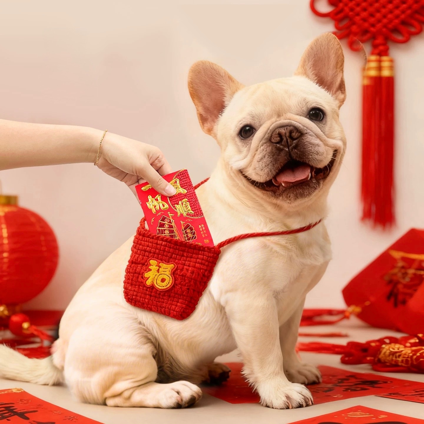 寵物新年針織紅包袋