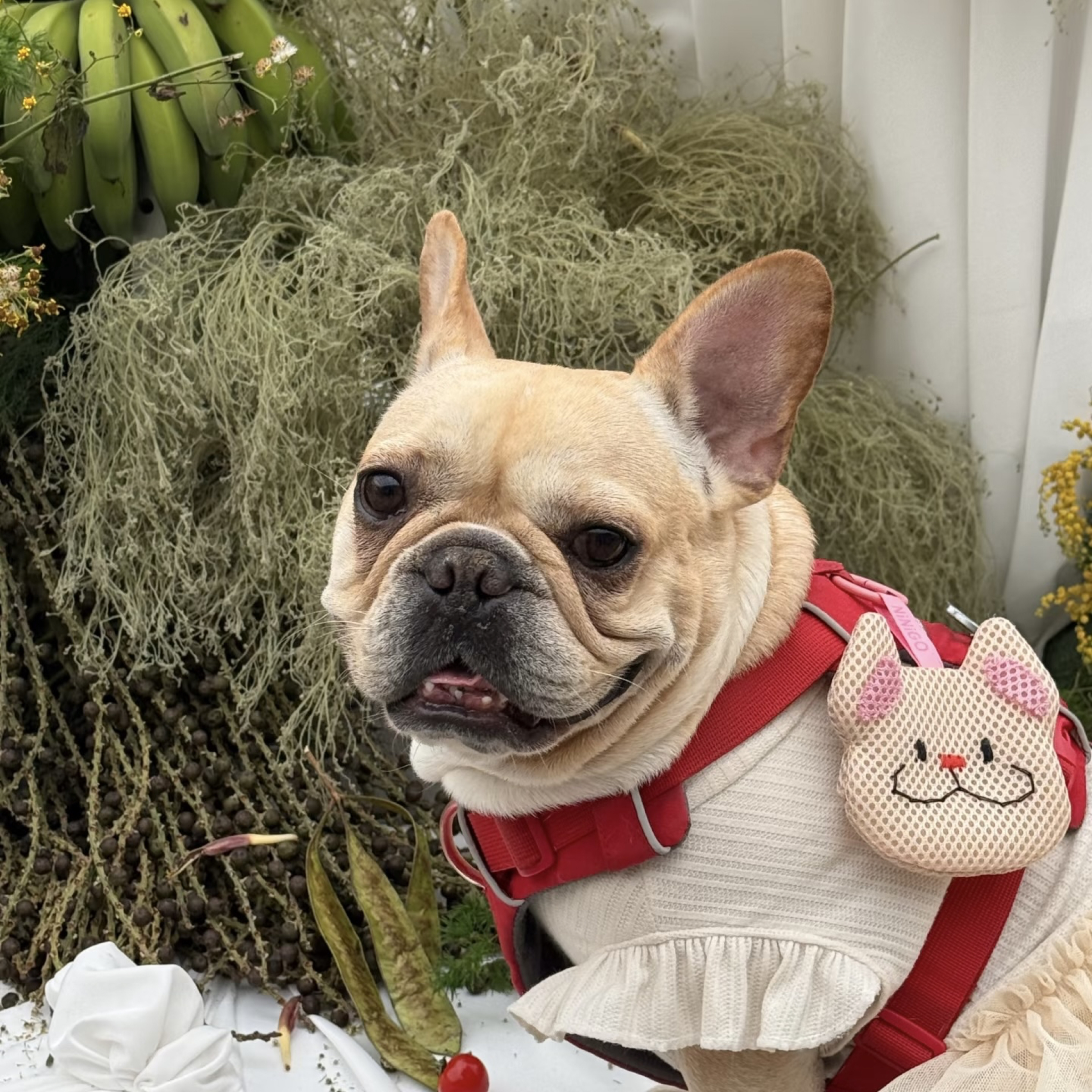 法鬥小豬手工驅蚊包