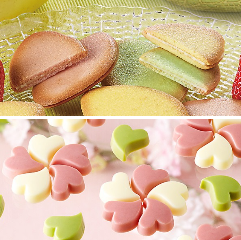 ⭐️Minamoalley 道頓堀 Fruit Parlor夾心餅乾｜花瓣造型巧克力禮盒⭐️