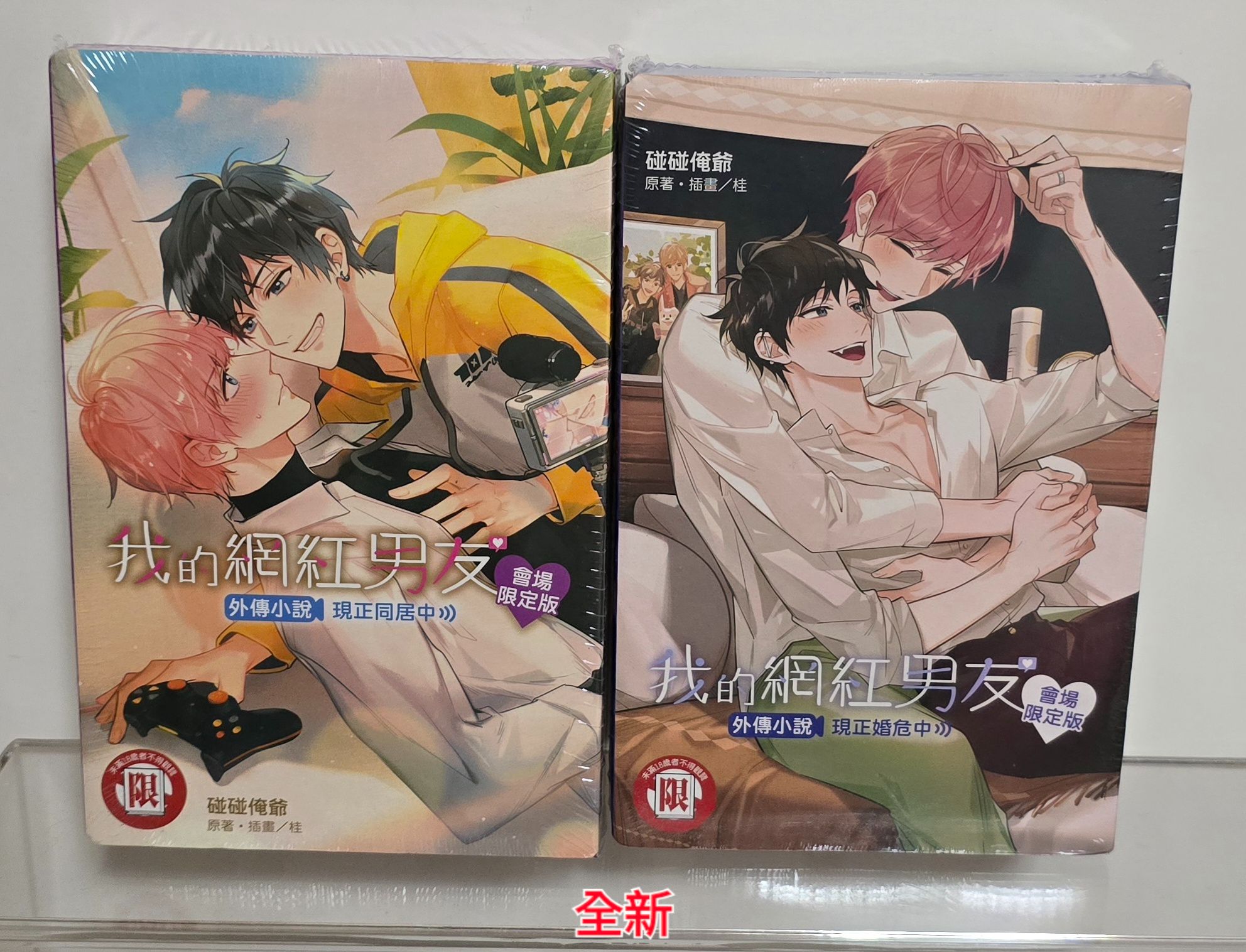 全新小說