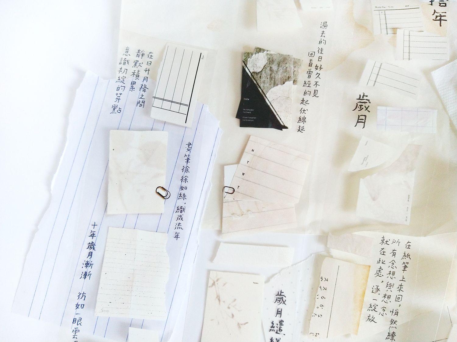 拾掇 亮面PET膠帶 5M