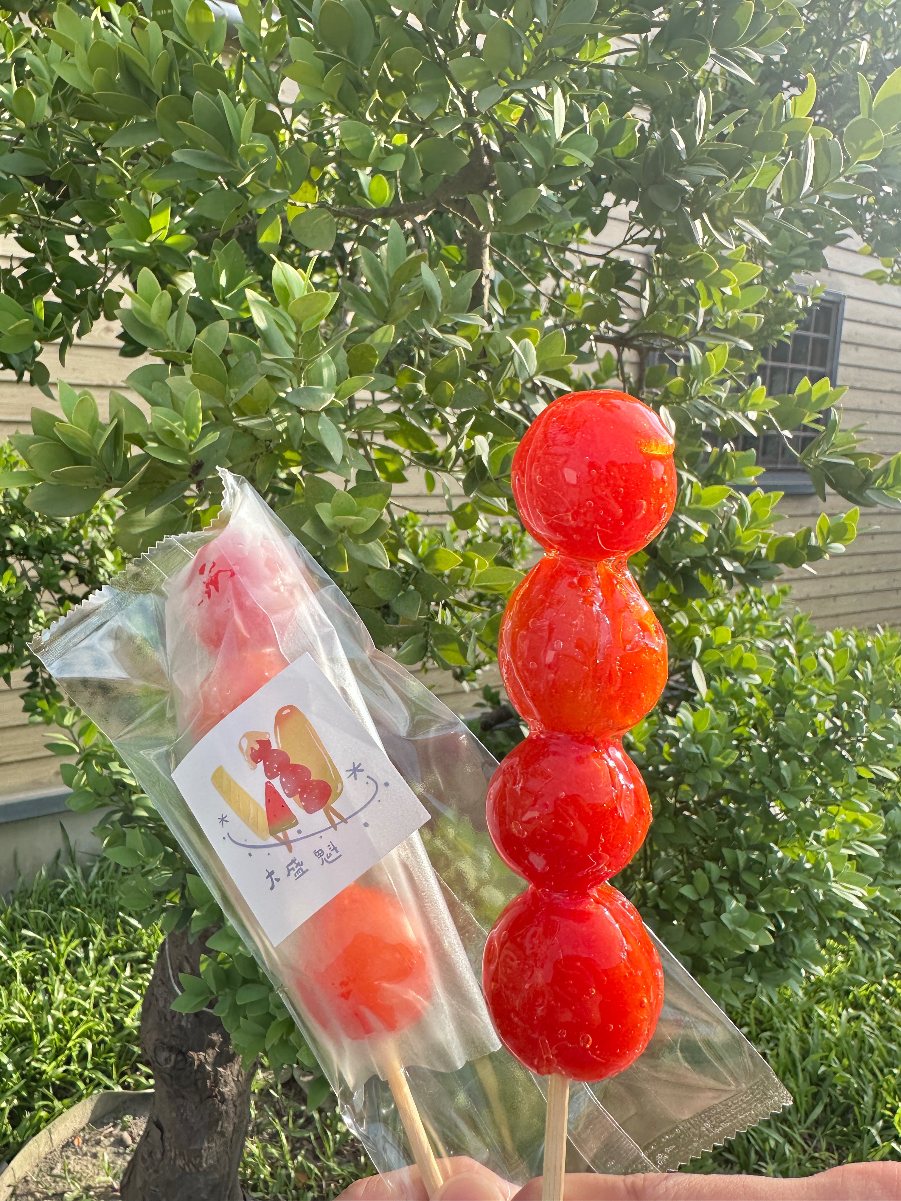 蕃茄冰棍糖葫蘆