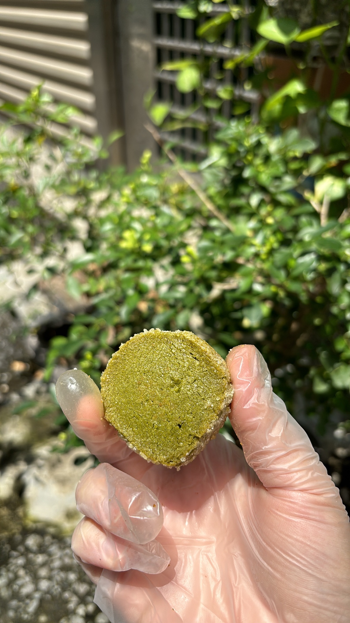 法式鑽石餅乾