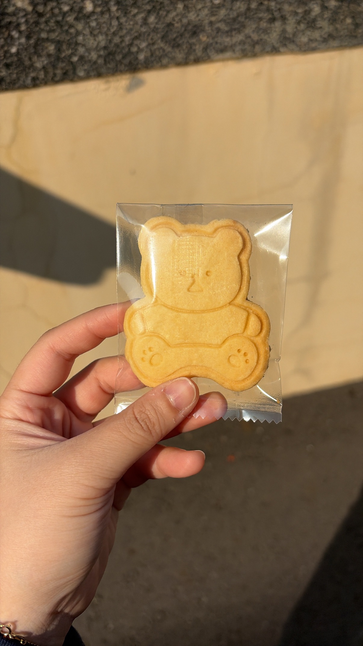 閏月節限定-動物造型餅乾