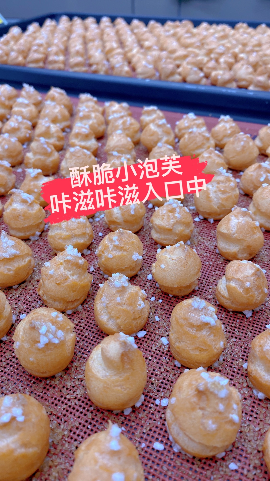 珍珠泡芙﹛無內餡｝